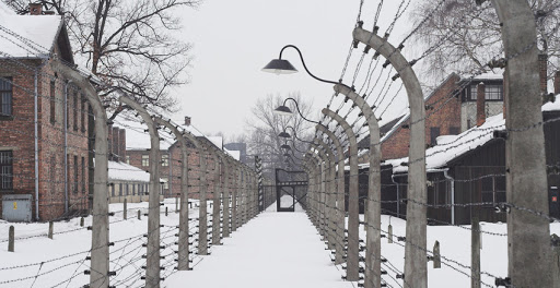 auschwitz &#8211; fr