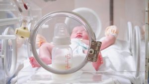 web-newborn-baby-premature-milk-incubator-shutterstock_696944116-por-kwangmoozaa.jpg