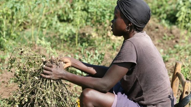 Trabalhos forçados e escravidão moderna no Haiti