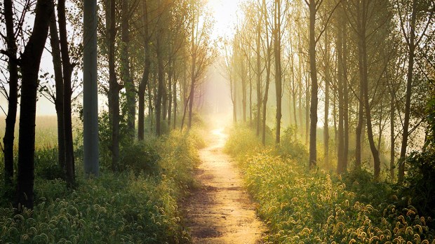 NATURE