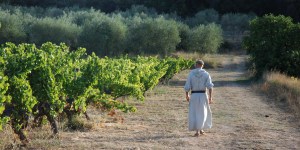 O vinhedo papal mais antigo mistura caridade com vinho premiado