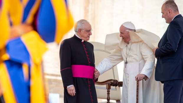 POPE FRANCIS - VATICAN - ST. Peter's Square - Audience