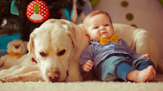 BAMBINI, ANIMALI, CANE