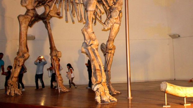 Esqueleto completo de mamute no Museo Nazionale d'Abruzzo, Itália