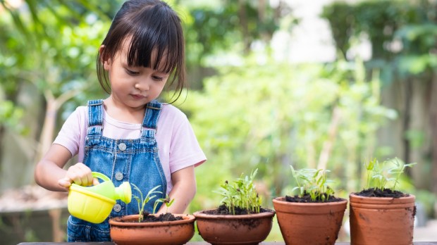 garden-plants-child